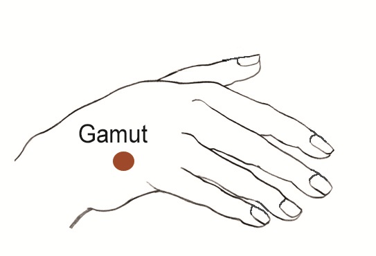 EFT Tapping 9 gamut point diagram